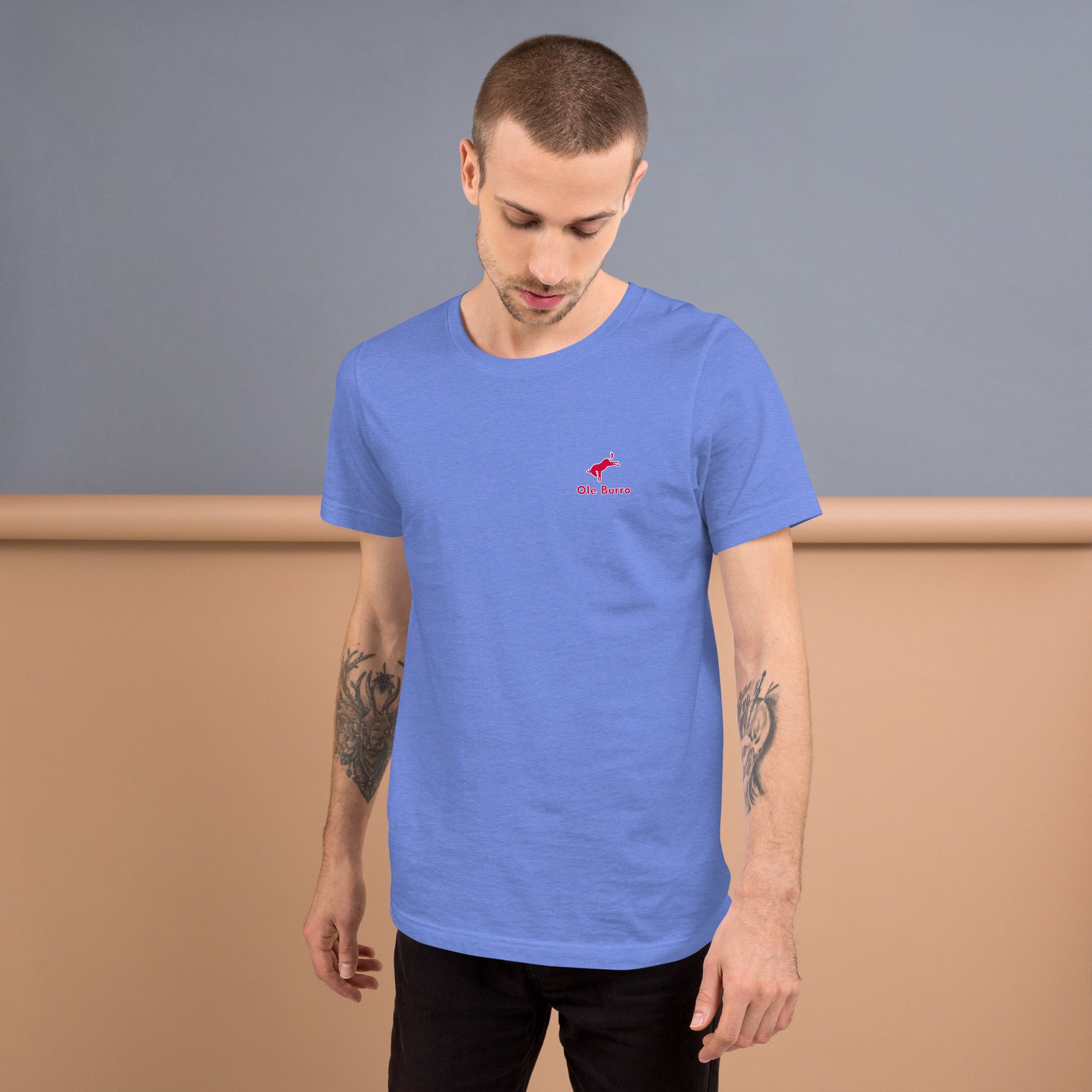 Man wearing a blue t-shirt with a red logo against a gray and brown background