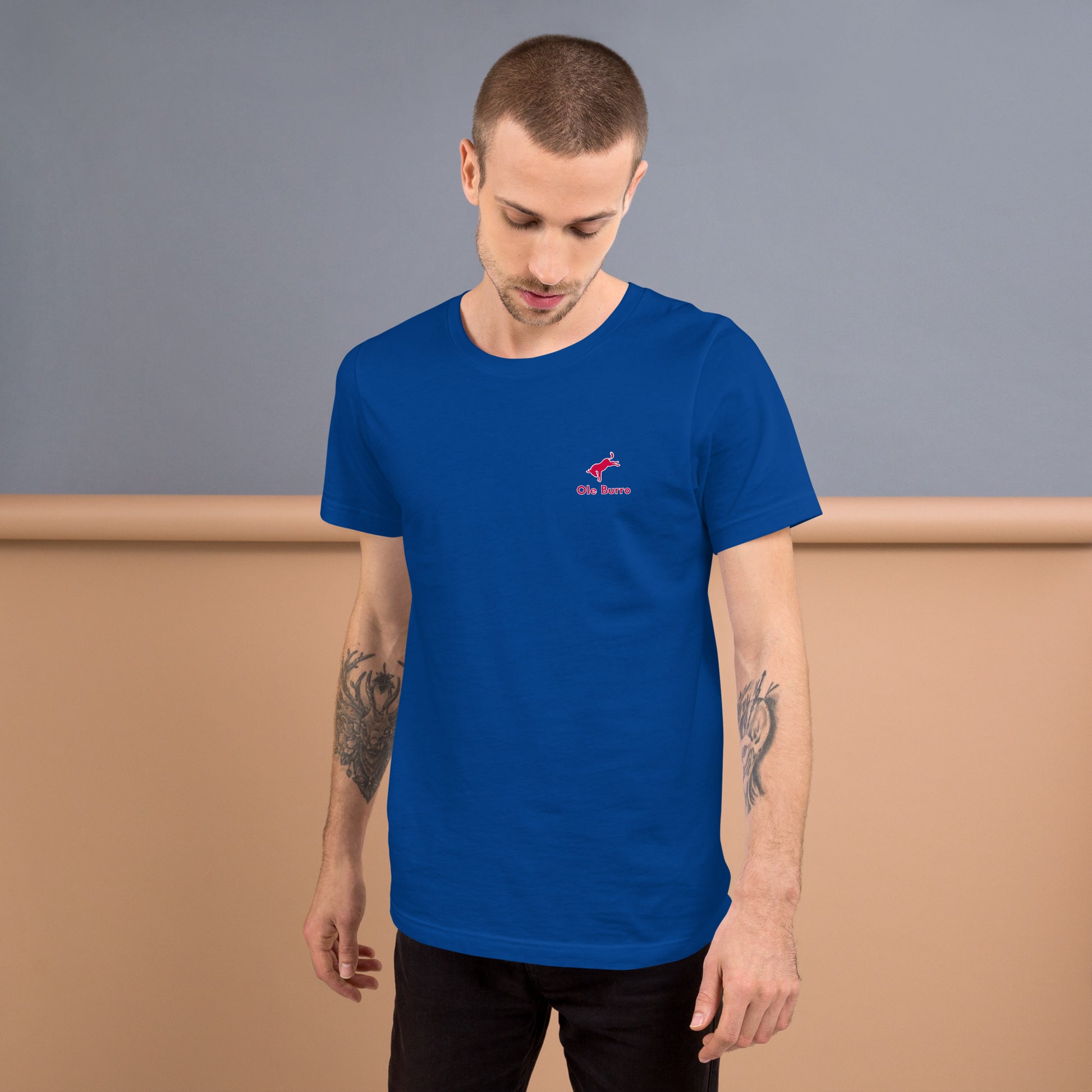 Man wearing a blue t-shirt with a small red logo against a gray and brown background