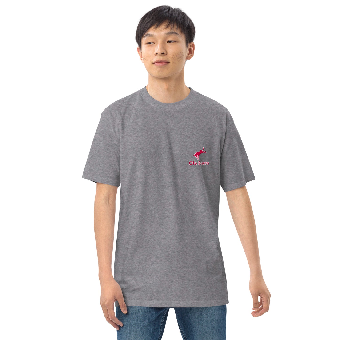 Person wearing a gray t-shirt with a red logo on a white background
