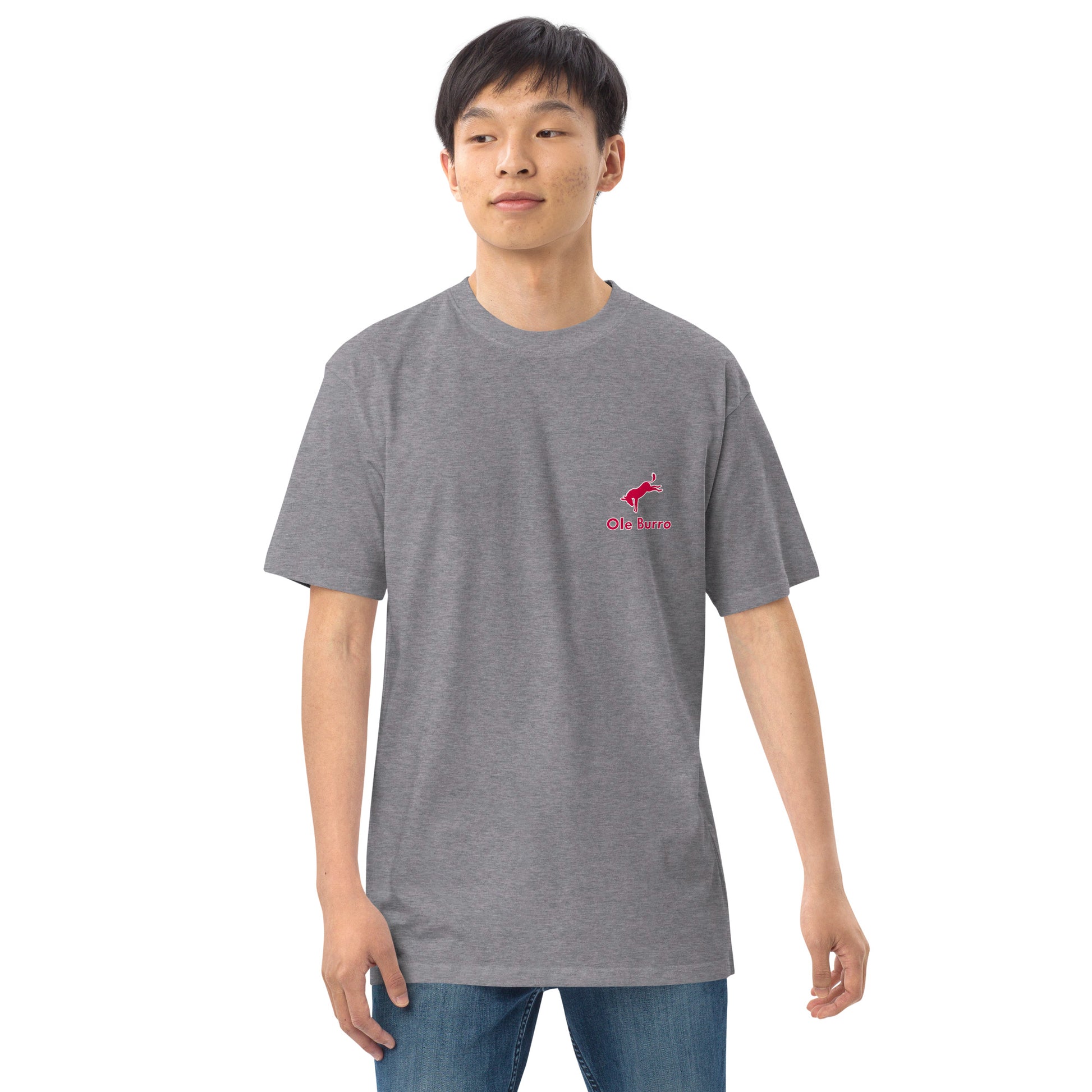 Person wearing a gray t-shirt with a red logo on a white background
